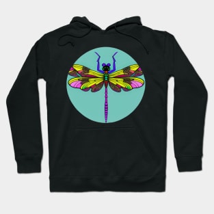 Dragonfly: Beautiful, colorful, and ornate | Hoodie